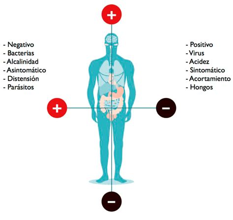 Par Biomagnetismo Terapias Alternativas Centro Renacer