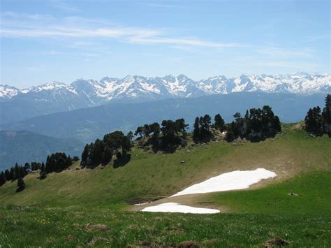 Album Photo Croix De L Alpe 1822m Par Les Varvats