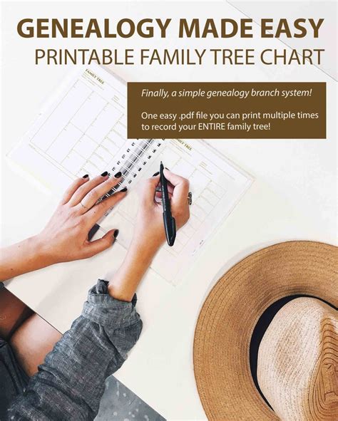 4 GENERATION Family Tree Chart, Simple Genealogy Branch System ...