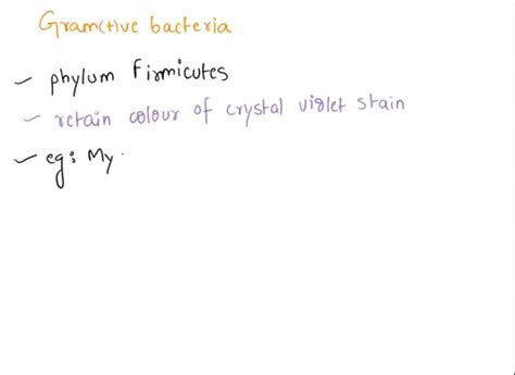 In Gram Positive Bacteria What Types Of Proteins Are Involved In