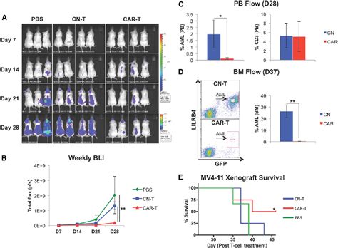 Figure 4 From A Novel Anti LILRB4 CAR T Cell For The Treatment Of