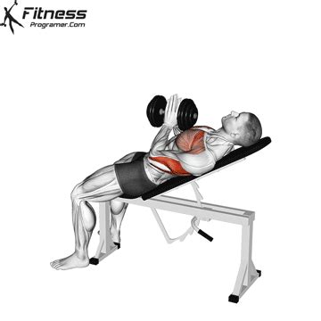 A Man Is Doing A Bench Press Exercise