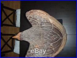 Hand Carved Wood Sculpture Life Sized Eagle S Two Tones