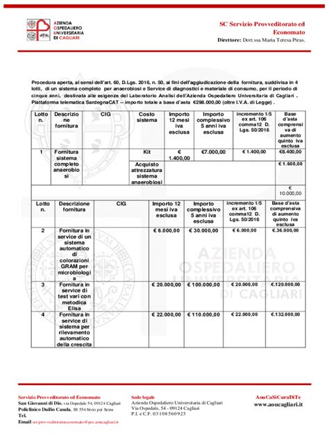 Compilabile Online Procedura Aperta Telematica Ai Sensi Dell Art