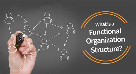 What Is A Functional Organizational Structure Pm Study Circle