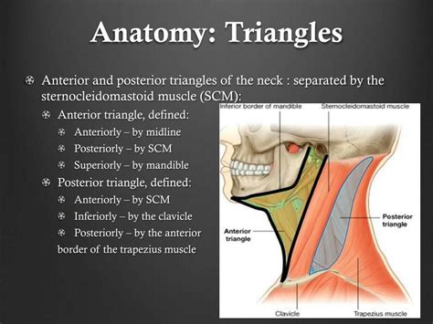 Ppt Airway Management For Neck Trauma Alex Sigalovsky Crna