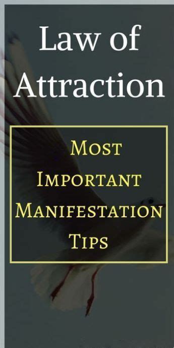 How To Use Law Of Attraction Tips For Beginners Law Of Attraction