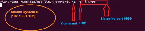 Send And Receive UDP Packets Via Linux CLI