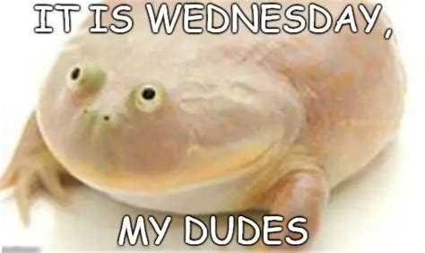 The 18 Best It Is Wednesday My Dudes Memes Meaning And Origins