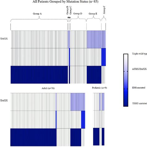 Tert C T And C T Promoter Mutations In Gb A Th Base Wild Type