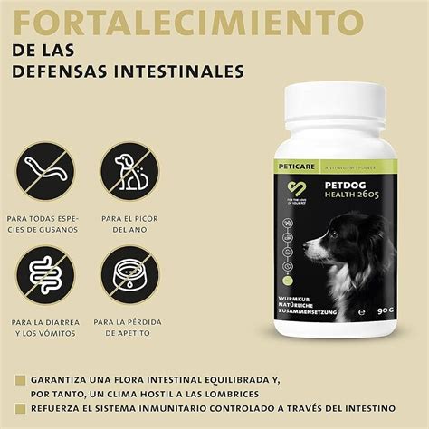 Par Sitos Intestinales En Perros S Ntomas Y Tratamiento Eficaz