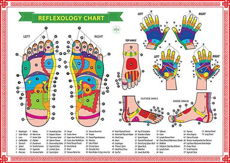 16 800 Reflexologie Plantaire Photos Taleaux Et Images Libre De