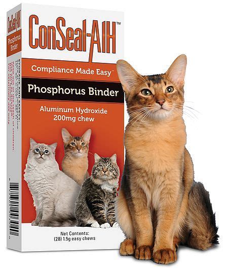 Bock Vet Pharma Conseal Alh Phosphorus Binder Treats Furry Friend