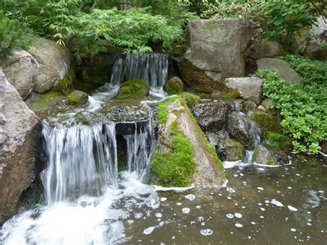 Trip to Anderson Japanese Gardens - Aqualogical Resources