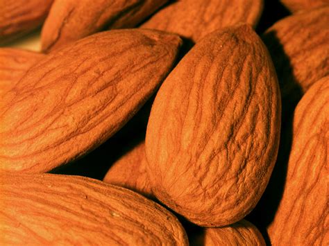 5 Easy Steps to Produce More GABA Naturally | gammaaminobutyricacid.org