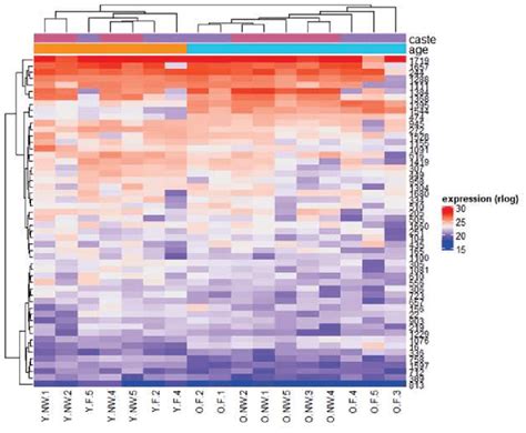 Heat Map Of The 50 Most Expressed Proteins Amongst Our Four Download Scientific Diagram