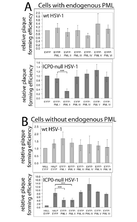 Effects Of EYFP PML Isoform Expression On Wild Type And ICP0null Mutant