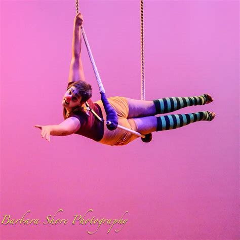 Host of Sparrows Aerial Circus