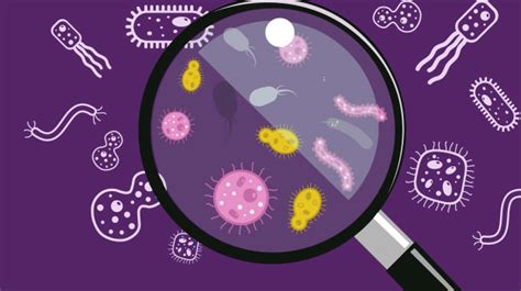 What is Microbiology? - Health Articles Magazine