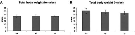 Growth Analysis Of Hip1r Ϫ Ϫ Mice A Average Weights Of Adult