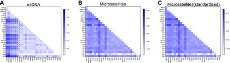 Heatmap Of Pairwise Fst Values Estimated From Mitochondrial Dna