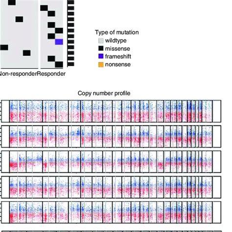 Mutational And Whole Genome Wide Copy Number Variation Landscape In