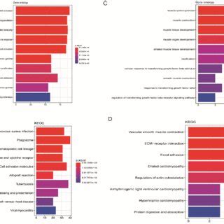 Functional Enrichment Analysis For Immune Degs The Histogram Shows The