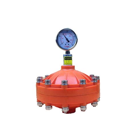 Dosing Metering Pump Pvc Pvdf Stainless Steel Pulse Damper China Safe