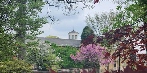 Haverford College Arboretum Tours Grid Magazine