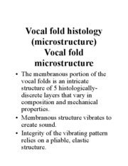 Vocal Fold Histology - Vocal fold histology(microstructure Vocal fold ...