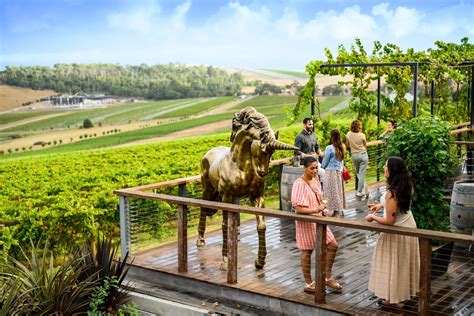 Yarra Valley Wine Tours