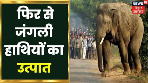 Simdega में एक बार फिर से जंगली हाथियों का उत्पात दहशत में ग्रामीण Elephant Attack On Village