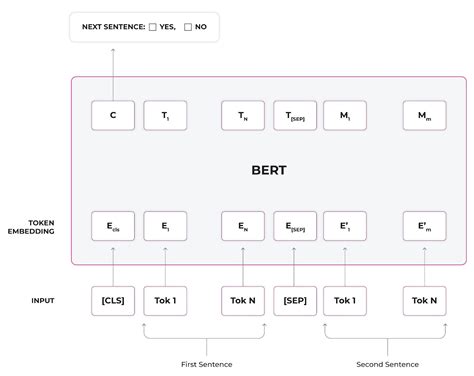 Unleashing the Power of BERT: How the Transformer Model Revolutionized NLP