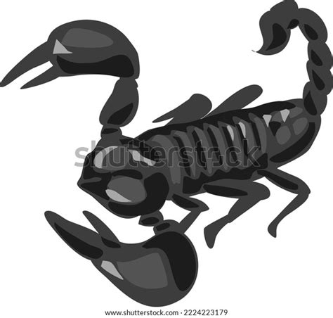 This Black Scorpion Vector Illustration Stock Vector Royalty Free