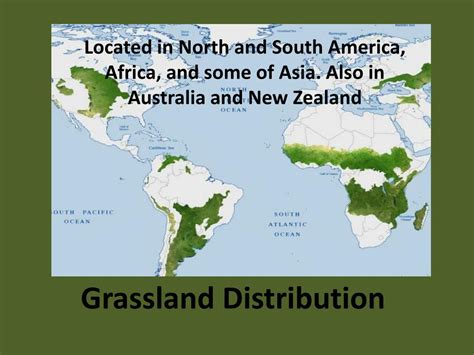 Grassland Distribution Map