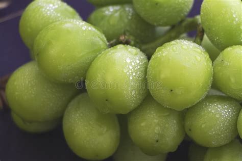 234 Korean Grapes Stock Photos Free And Royalty Free Stock Photos From