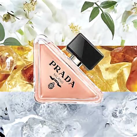 Prada – BS24 Switzerland AG
