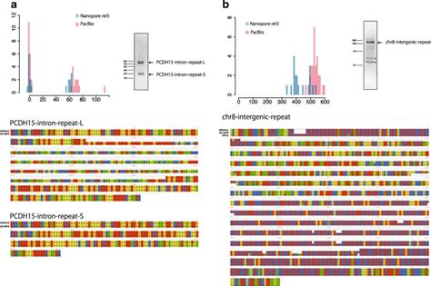 Tandem Genotypes Robust Detection Of Tandem Repeat Expansions From