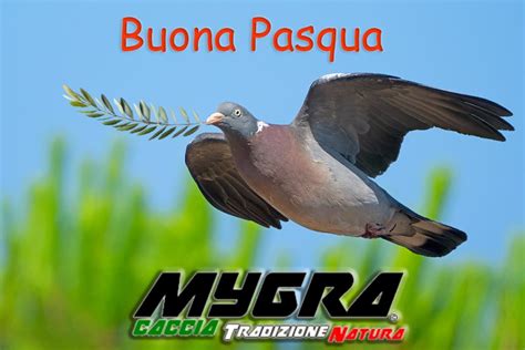 Auguri Di Buona Pasqua 2024 Forum Dedicato Al Mondo Della Caccia Con