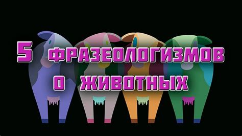 5 фразеологизмов о животных - YouTube