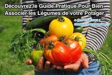 Le Guide Pratique Pour Bien Associer Les L Gumes De Votre Potager