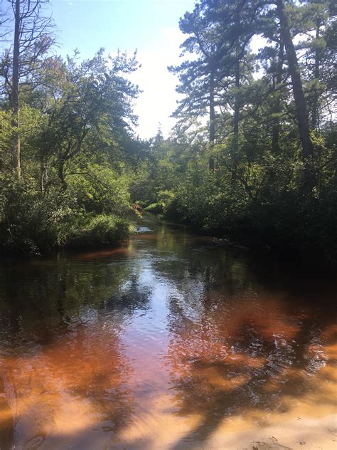 pine barrens golf new jersey 2