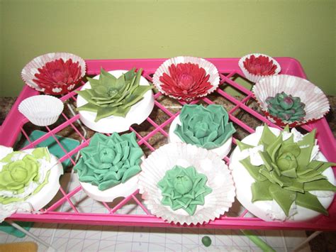 Naked Rustic Succulents Cake CakeCentral