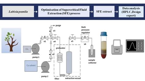 Supercritical Fluid Extraction Co2