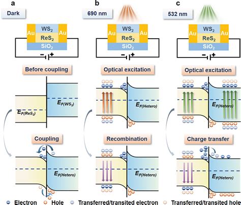 Controllable Resistive Switching In ReS2 WS2 Heterostructure For