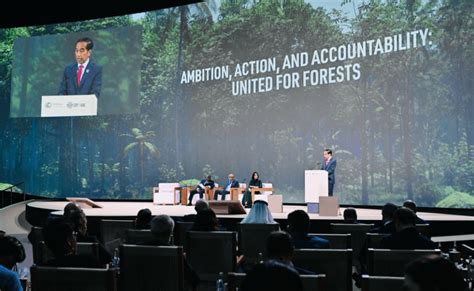 Langkah Indonesia Capai Net Carbon Sink Sektor Hutan Dan Lahan