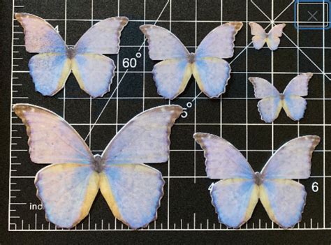 Shimmery Iridescent Lavender Edible Wafer Paper Butterflies — The