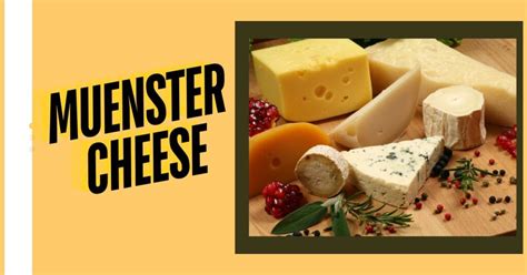 Understanding Muenster Cheese: A Delicious Semi-Soft Cheese