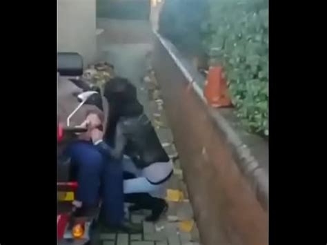 Doctor Charles XVIDEOS