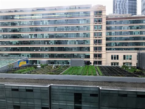 Takeaways From The Ryerson Urban Farm Roundtable